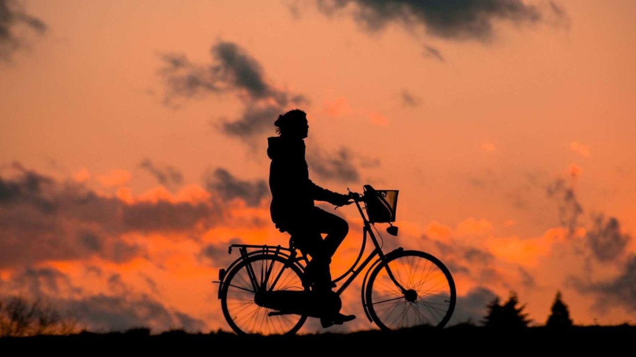 Lee más sobre el artículo 5 consejos para ir al trabajo en bicicleta