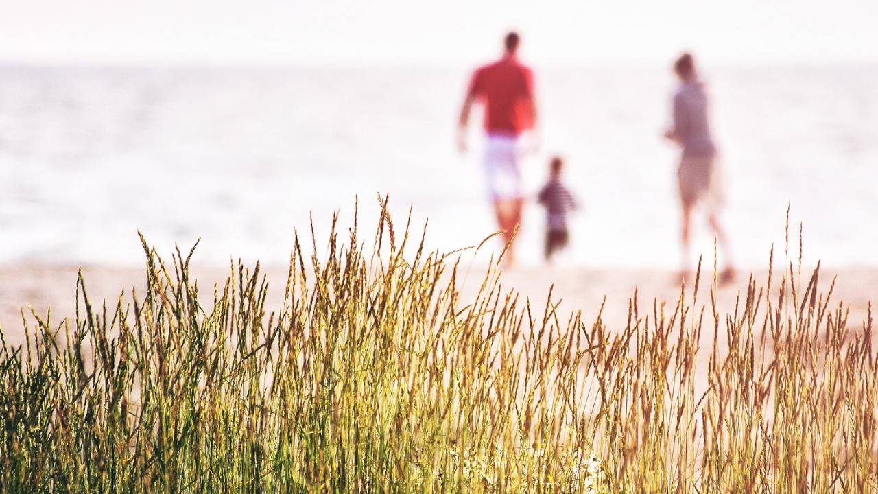 Lee más sobre el artículo 50 forma de divertirte con tus hijos de forma gratuita o económica